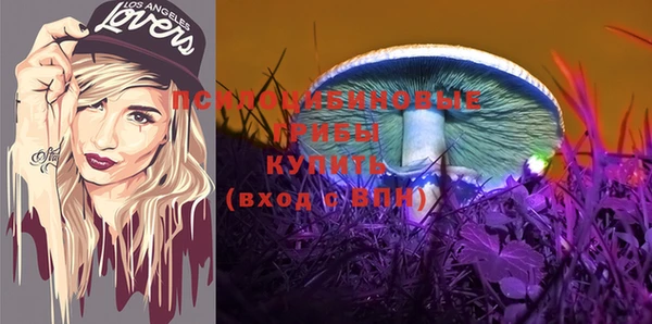 mdma Дегтярск
