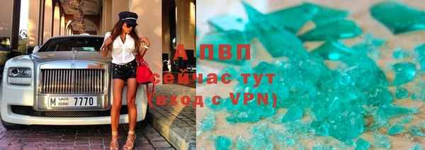 хмурый Данков